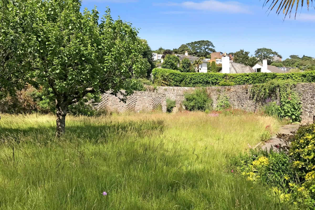 Meadfoot Sea Road Property for Sale in Torquay John Couch The Estate